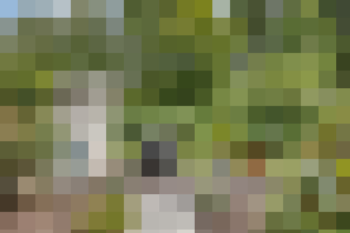  / #20