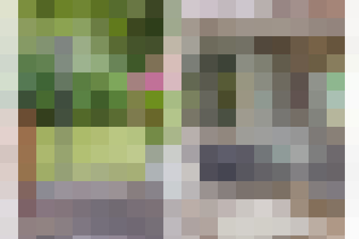  / #56