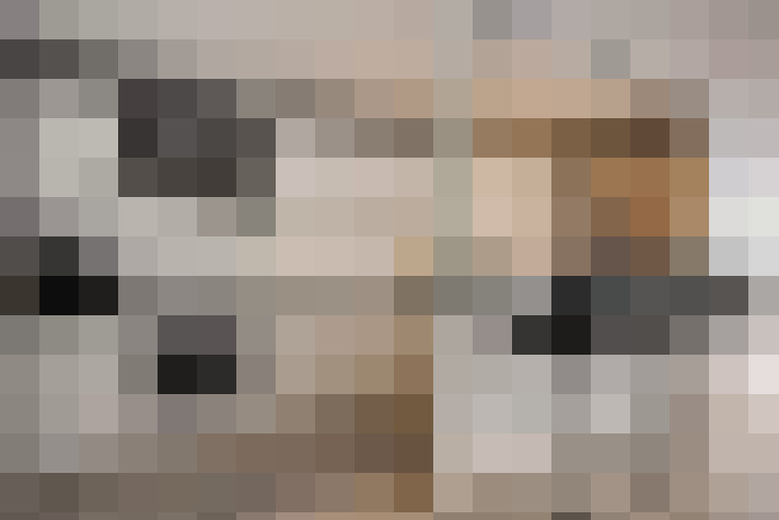  / #11