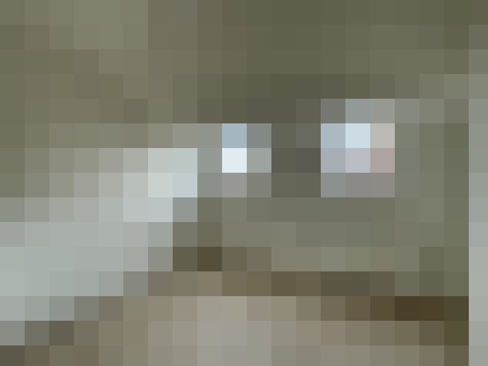  / #17
