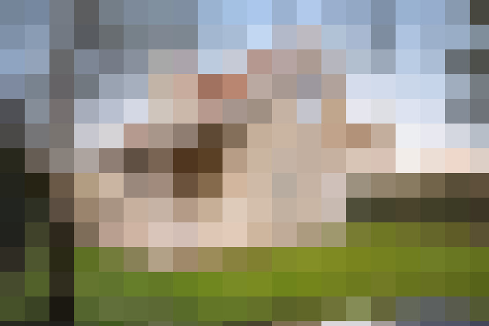  / #7