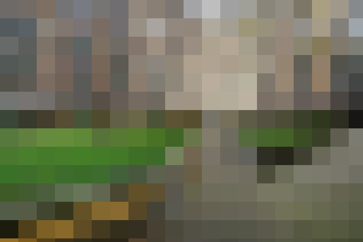  / #22