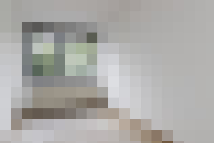  / #11