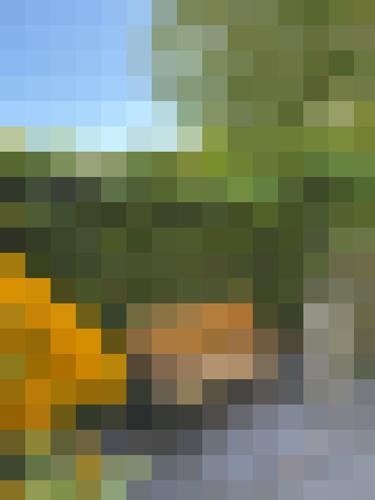  / #17