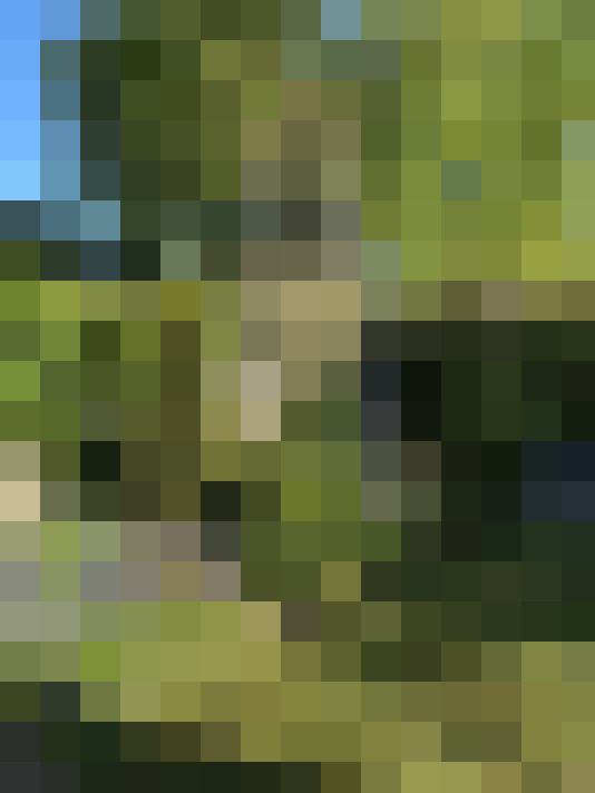  / #15