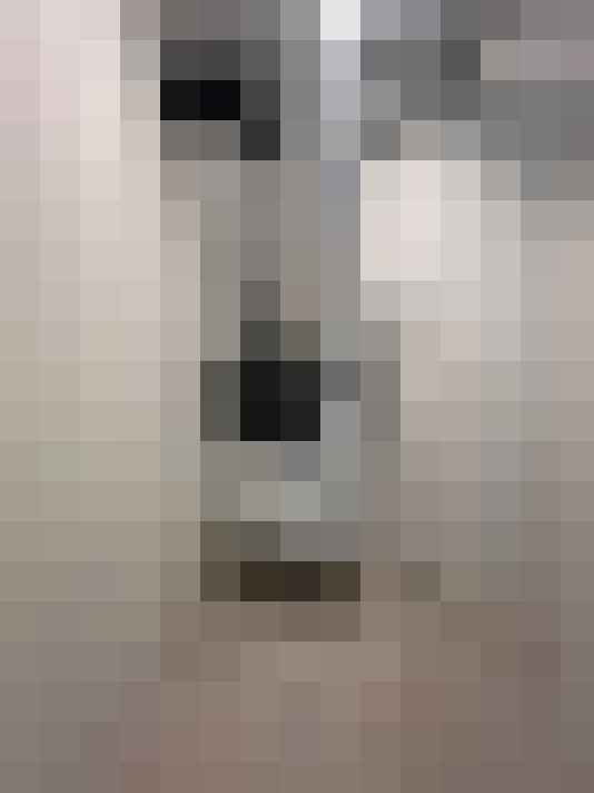  / #21