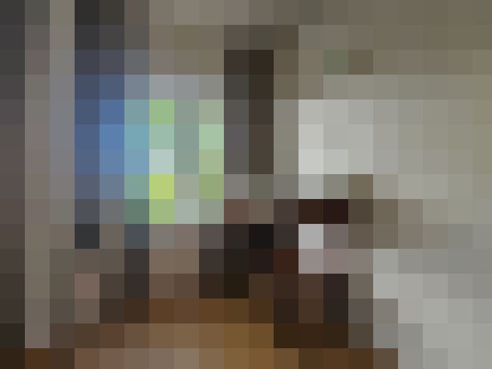  / #15