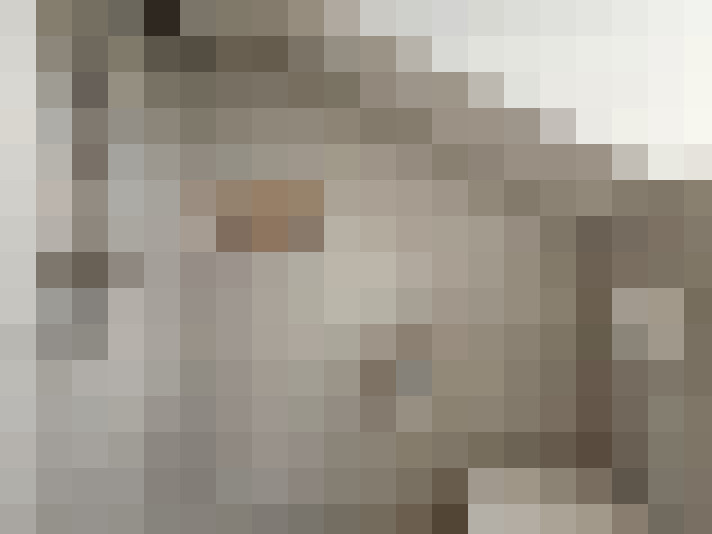  / #21