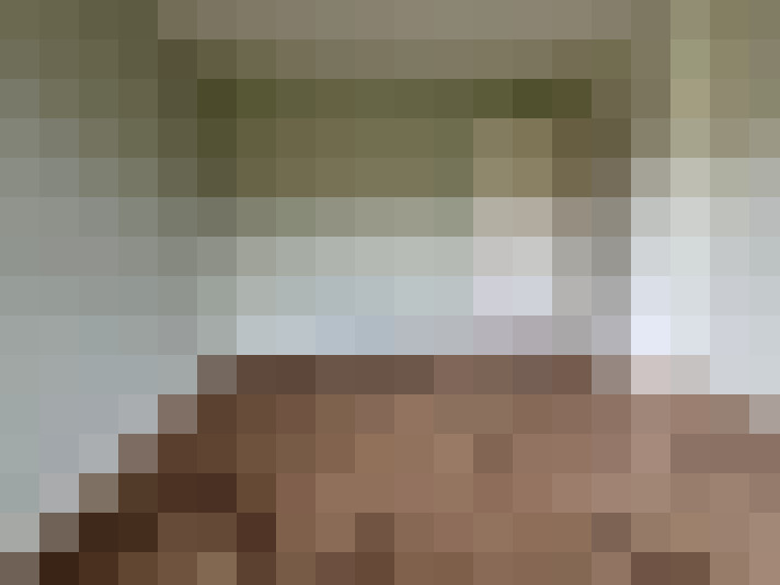  / #21