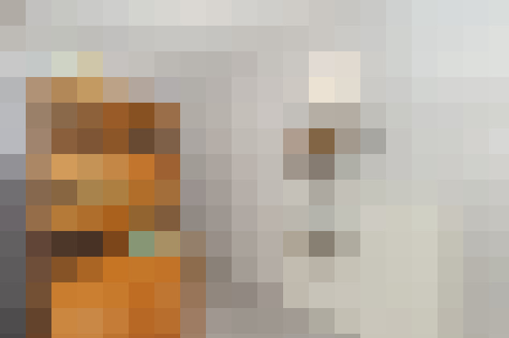  / #21