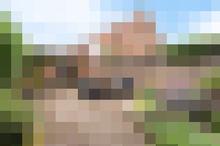  / #23