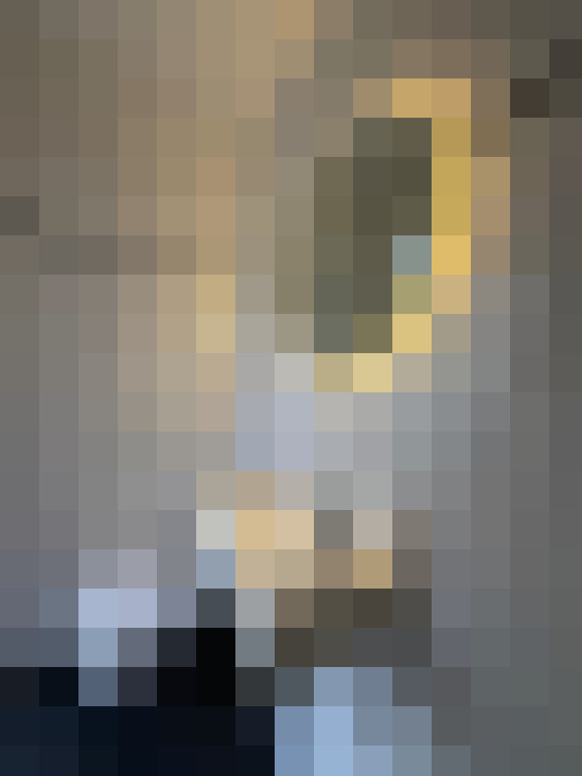  / #14