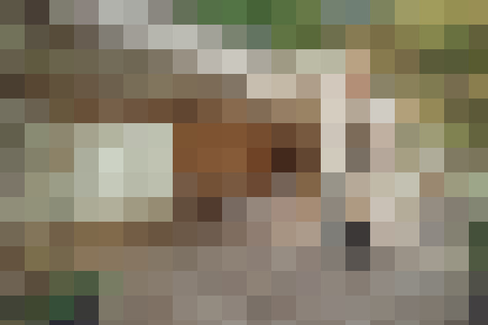  / #12