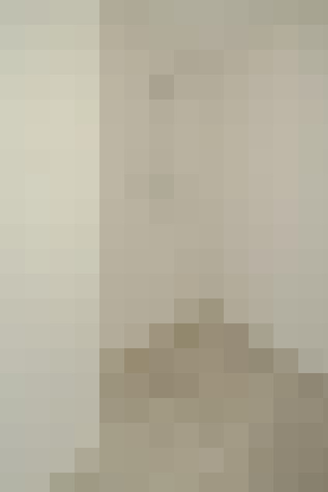  / #19