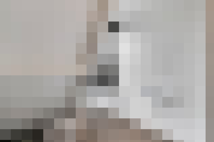  / #24