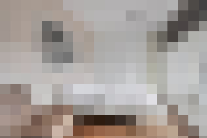  / #20