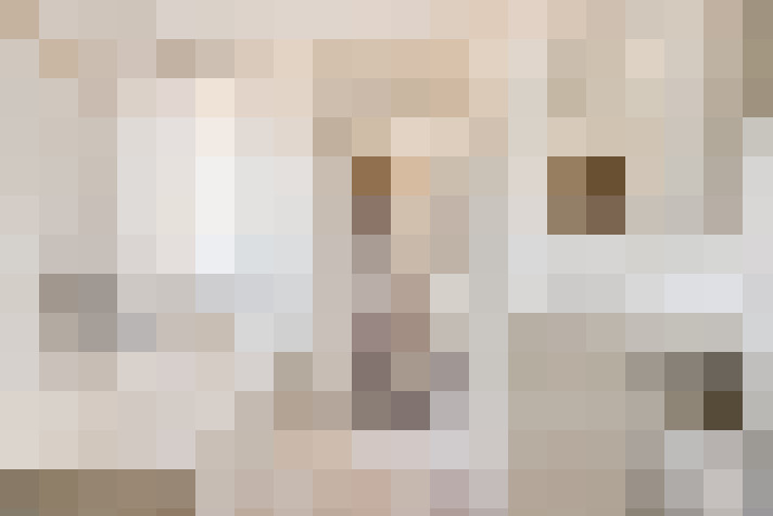  / #19