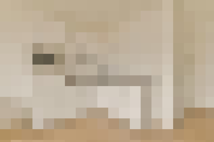  / #6