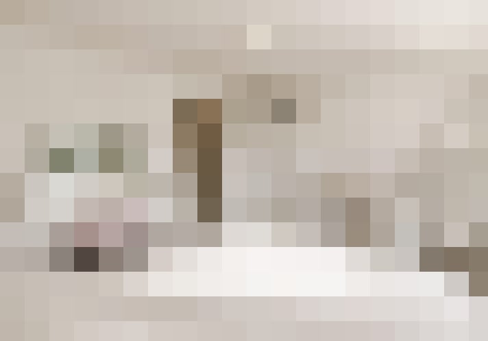  / #17
