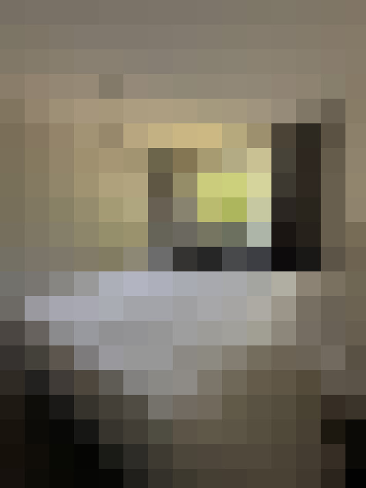  / #31