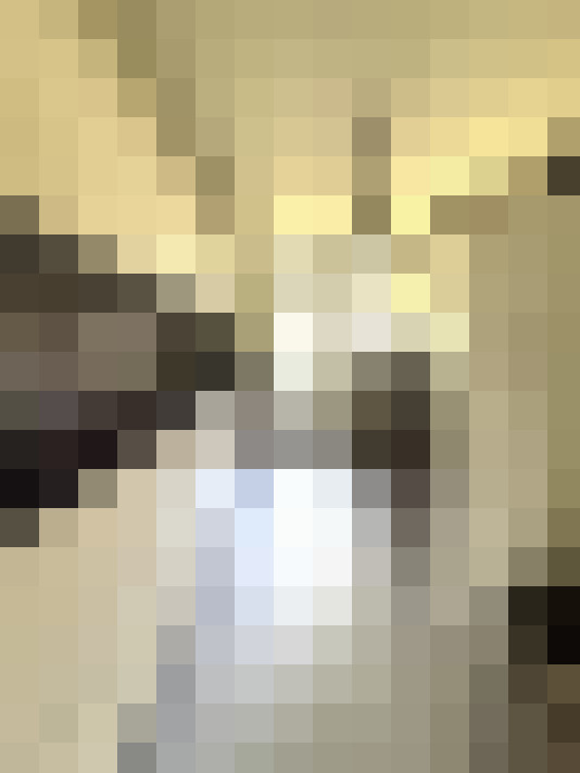  / #33