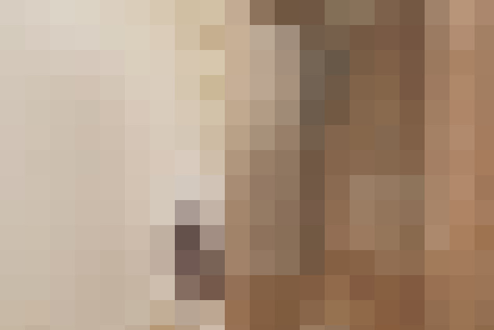  / #19