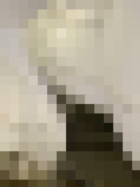 / #28