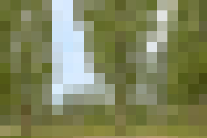  / #25