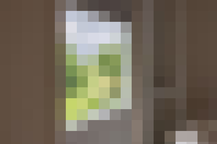  / #19