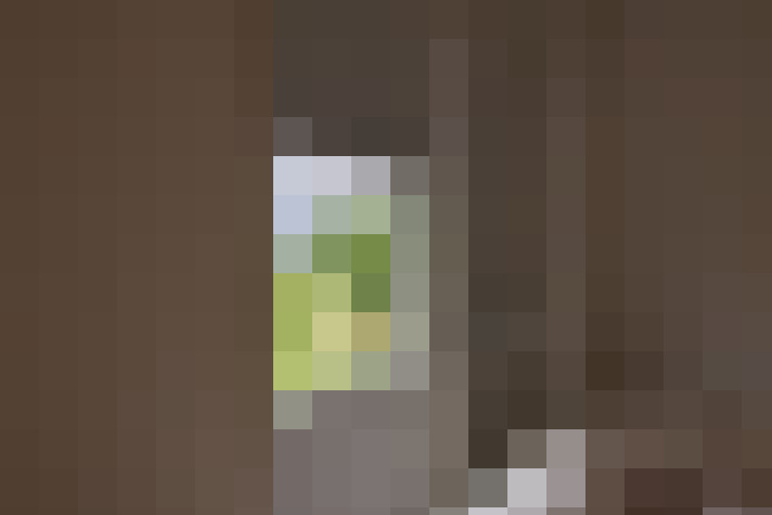  / #20