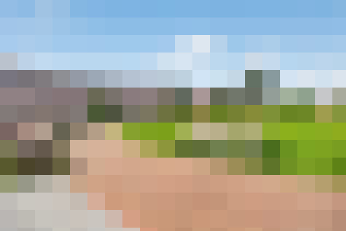  / #54