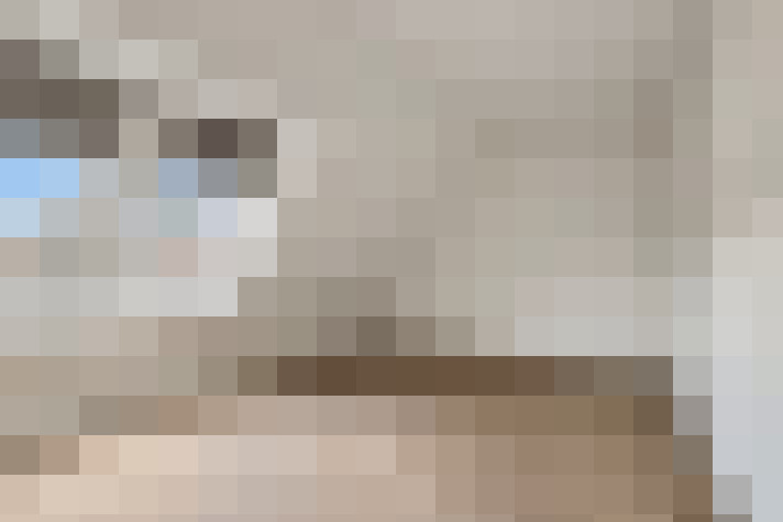  / #24