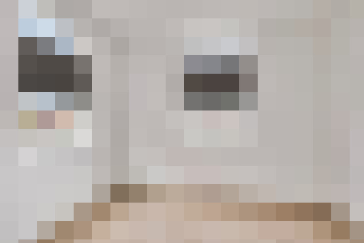 / #18