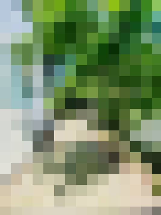  / #16