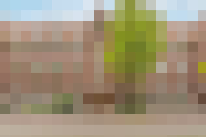  / #18