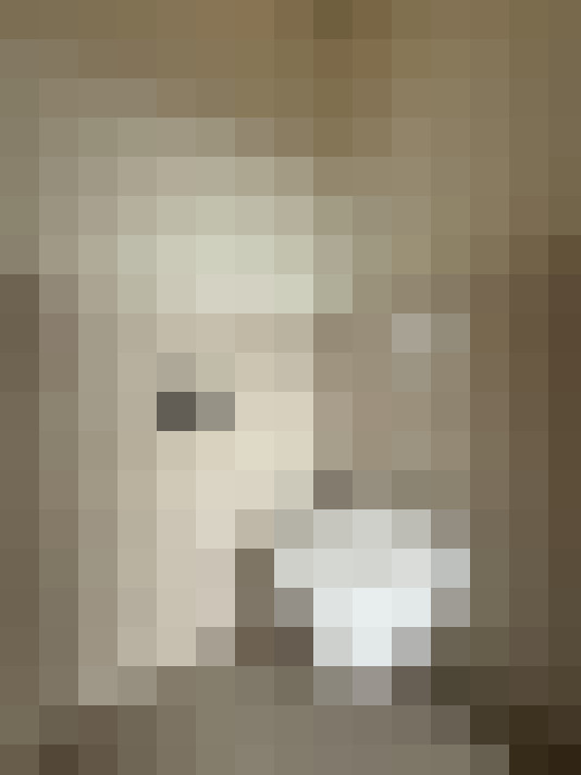  / #16