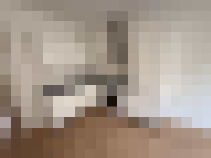  / #6