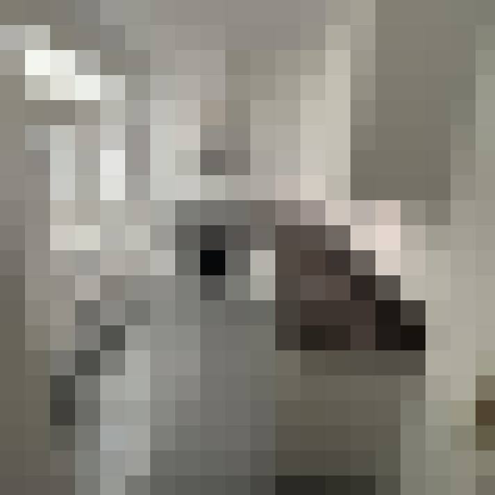 / #9