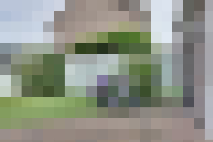  / #31