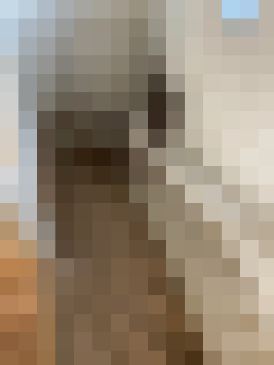  / #15