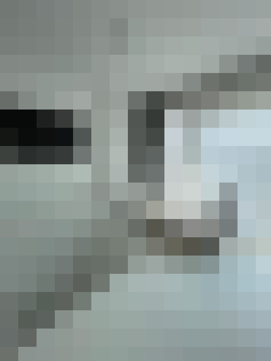  / #17