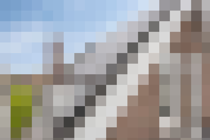  / #14