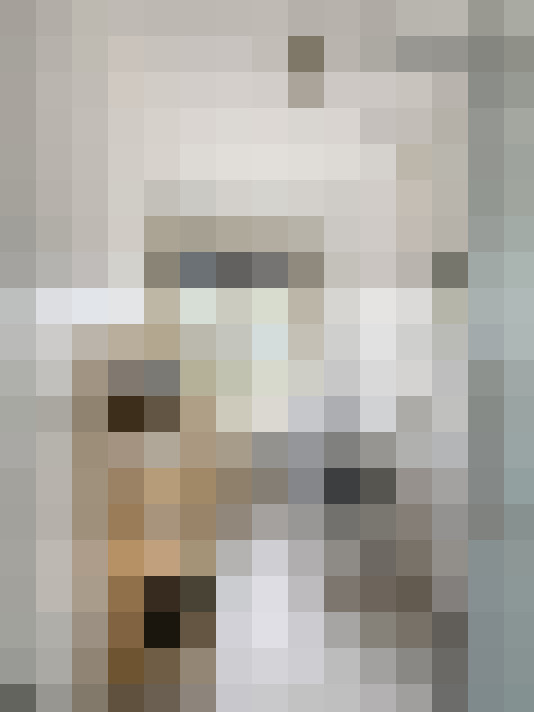 / #11