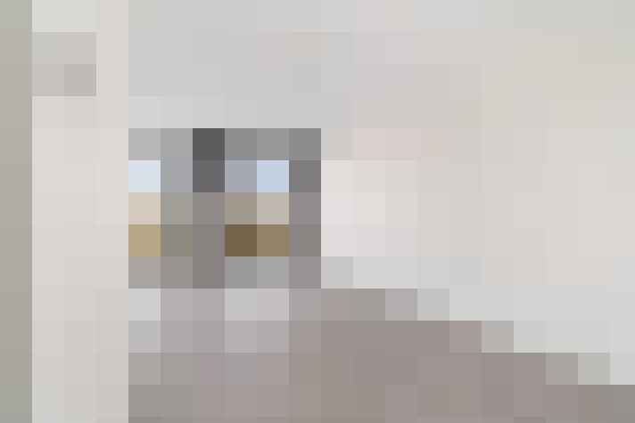  / #31