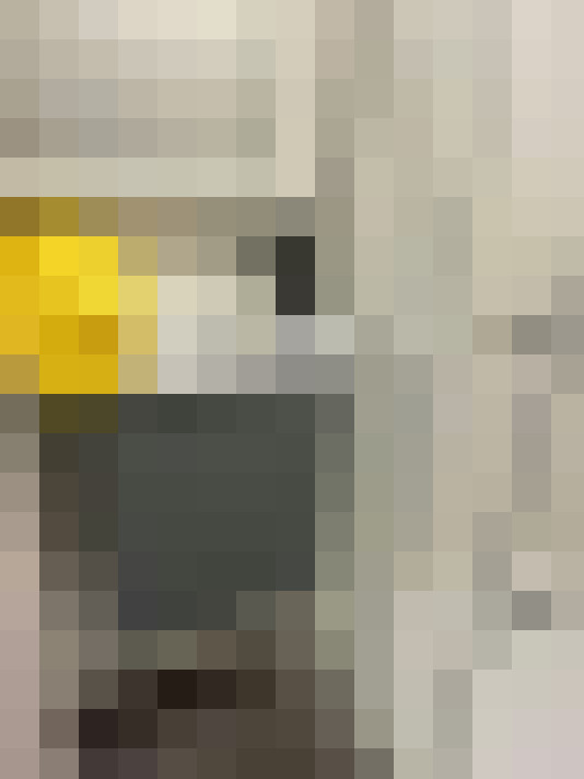  / #8