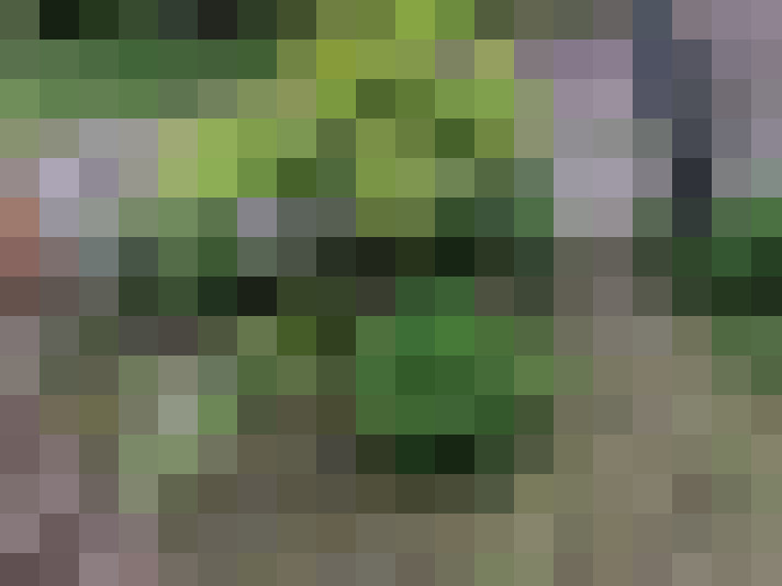  / #9