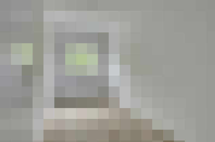  / #11