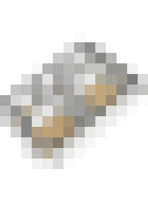  / #66