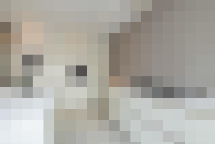  / #23