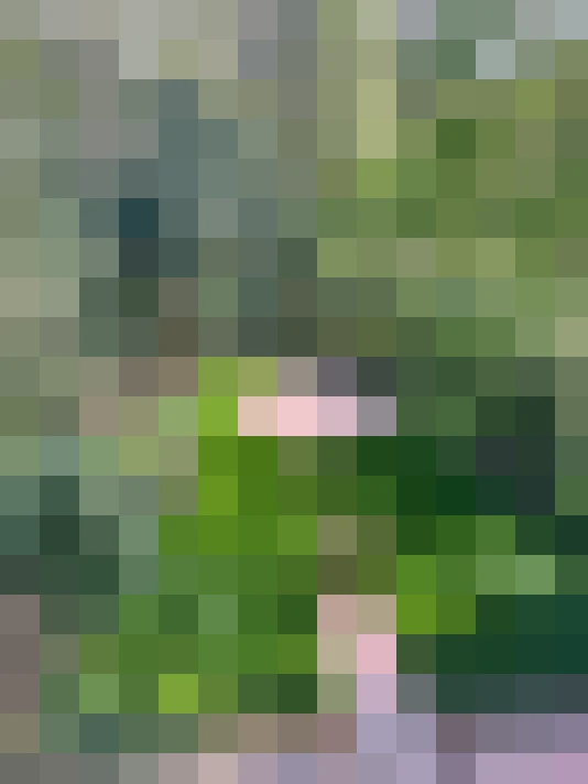  / #19